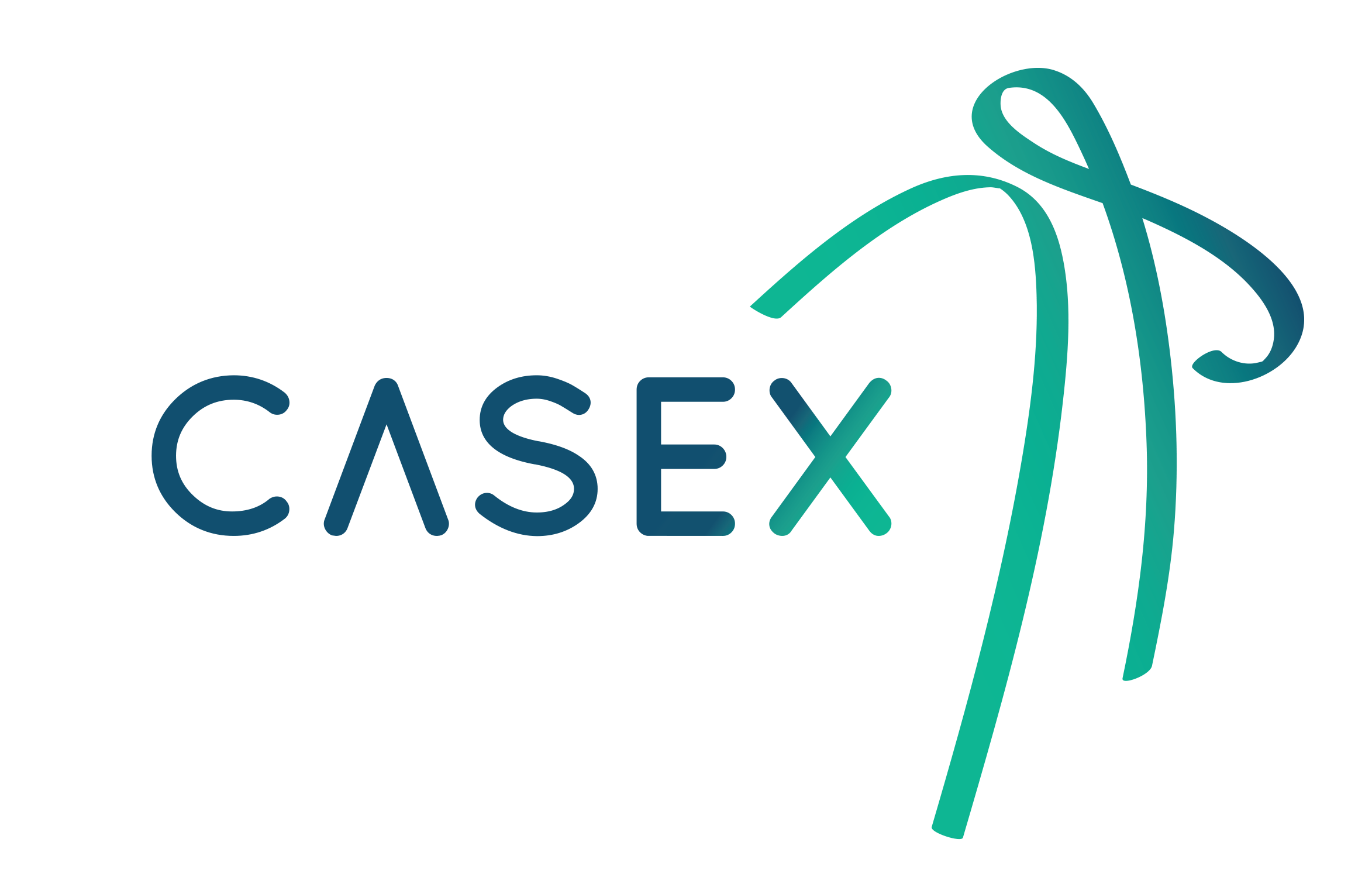 casex